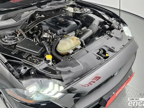 Ford Mustang 2019